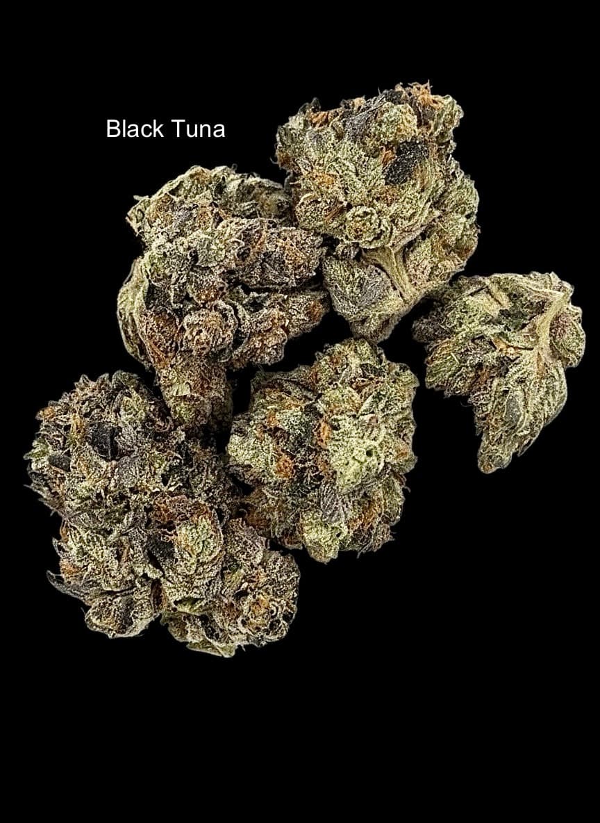 Black Tuna